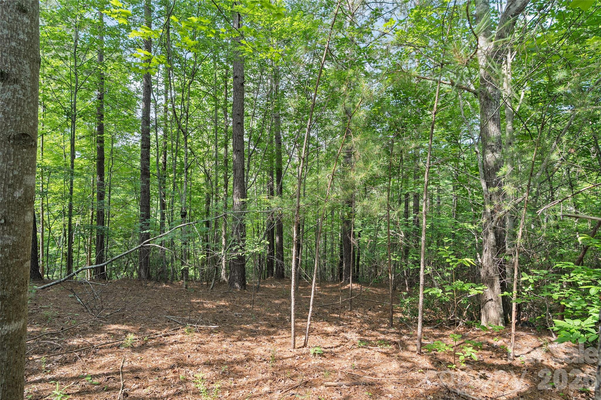 Lot 24 Monteith Pl Mill Spring Mill Spring, NC 28756 - Photo 8 of 24
