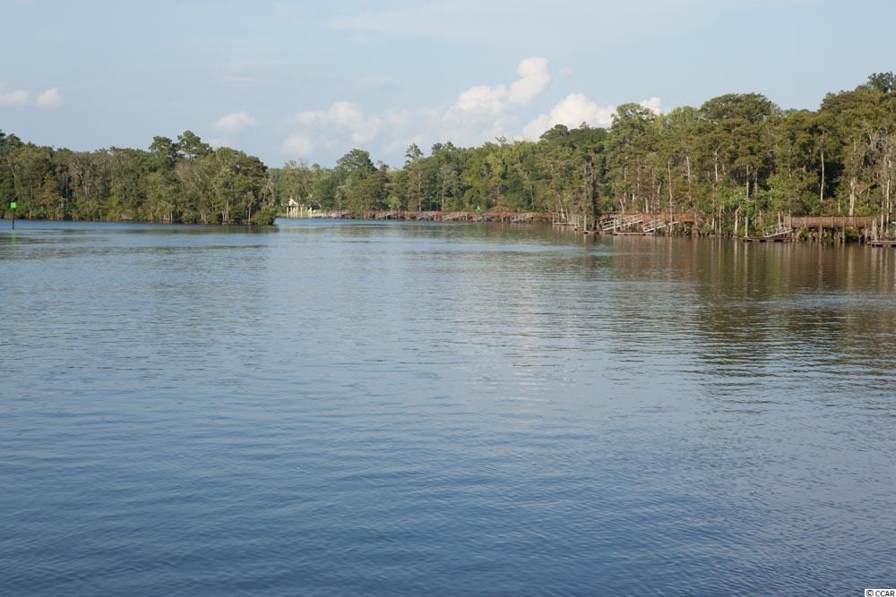 Lot 231 Chamberlin Road Myrtle Beach, SC 29588 - Photo 15 of 19 Gallery Image 15