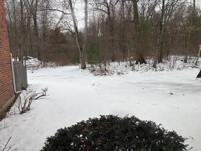 a view of a yard with snow on the road