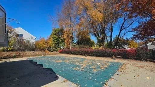 a view of a yard with trees