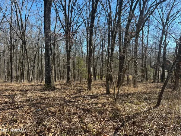 $315,000 | 123 Bridgewater Bend, Ridgeland, MS 39157