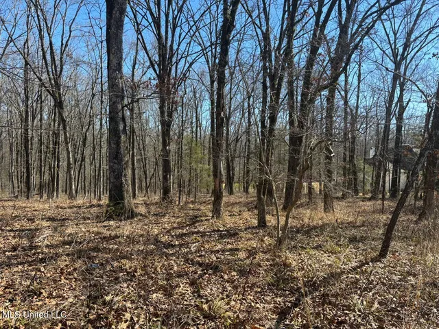 $320,000 | 123 Bridgewater Bend, Ridgeland, MS 39157