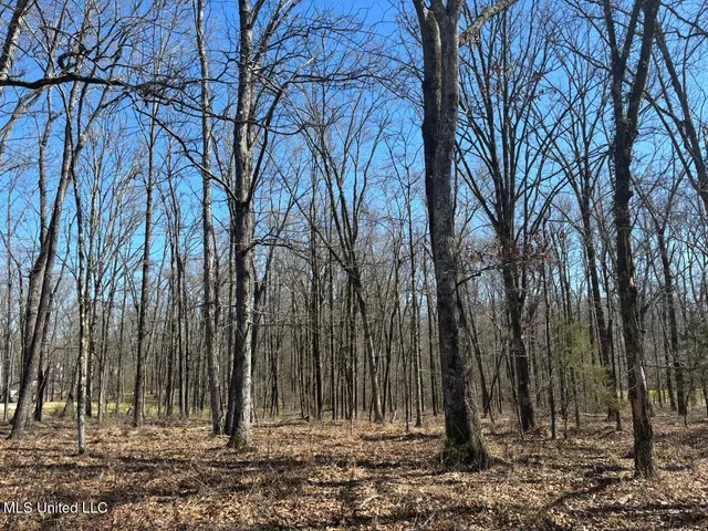 $320,000 | 123 Bridgewater Bend, Ridgeland, MS 39157