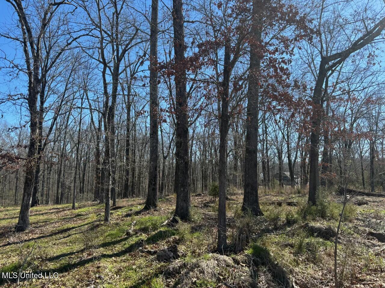 123 Bridgewater Bend Ridgeland, MS 39157 - Photo 3 of 3 tempImageinktj5