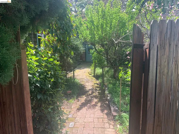 a view of backyard with plants and outdoor seating