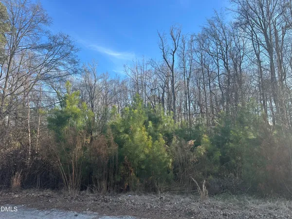 a view of a yard with trees