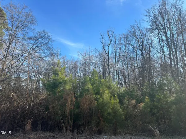 a view of a forest with a yard