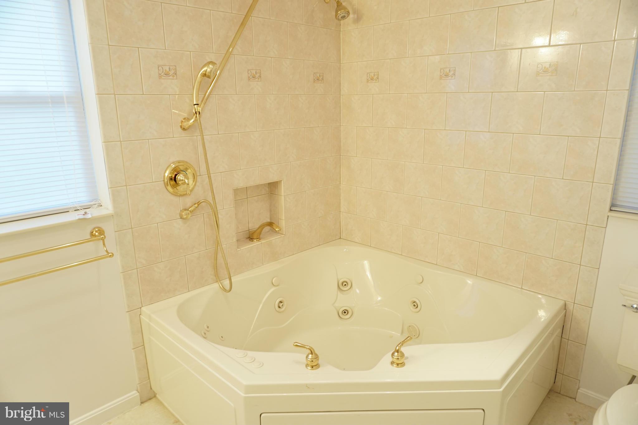 4111 Danville Road Brandywine, MD 20613 - Photo 19 of 28 Bath (Master)