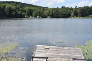 180 Poppy Road New Milford, PA 18834 - Photo 2 of 36 Gallery Image 2