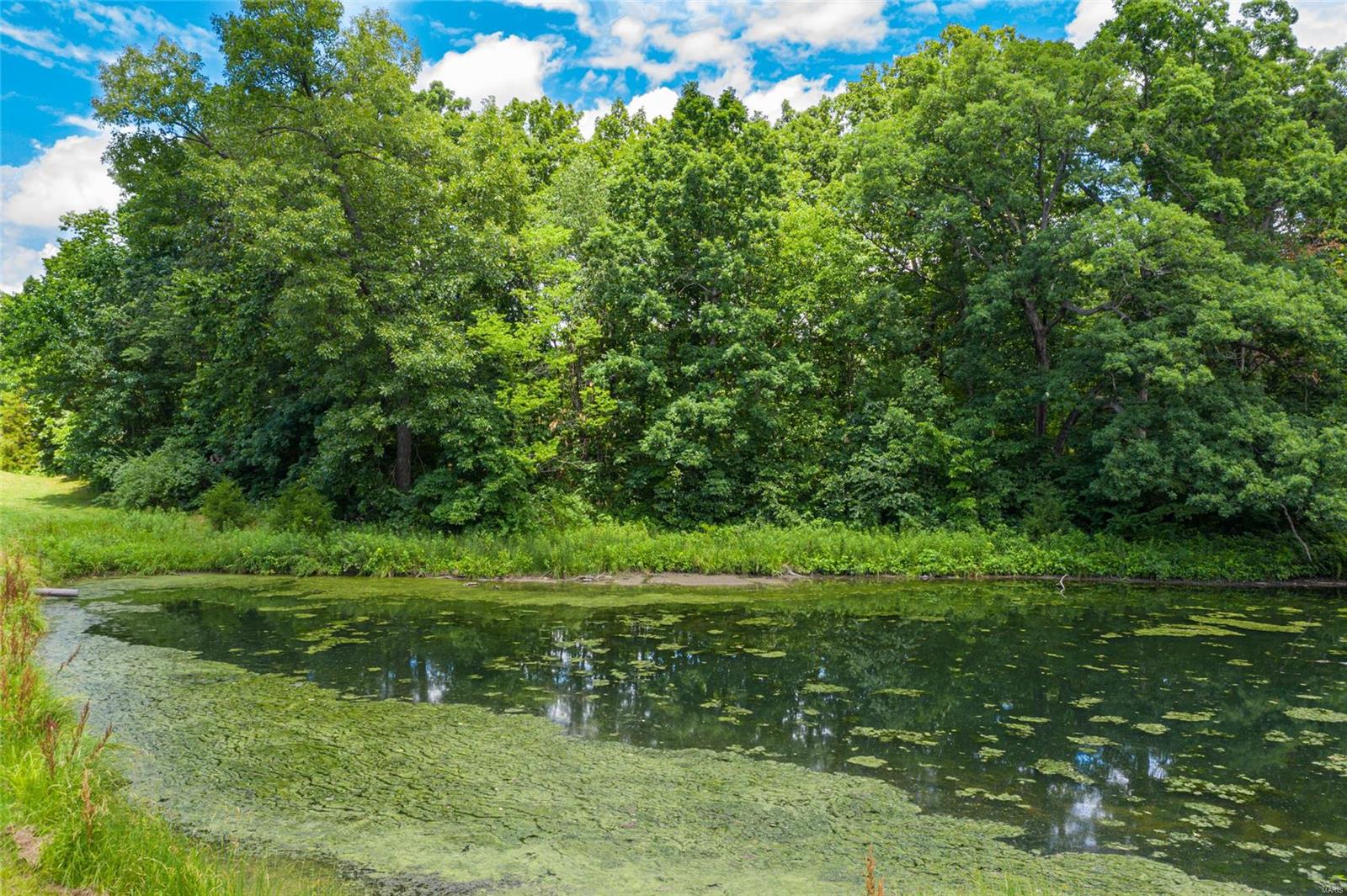 10 Day Spring Litchfield, IL 62056 - Photo 15 of 17