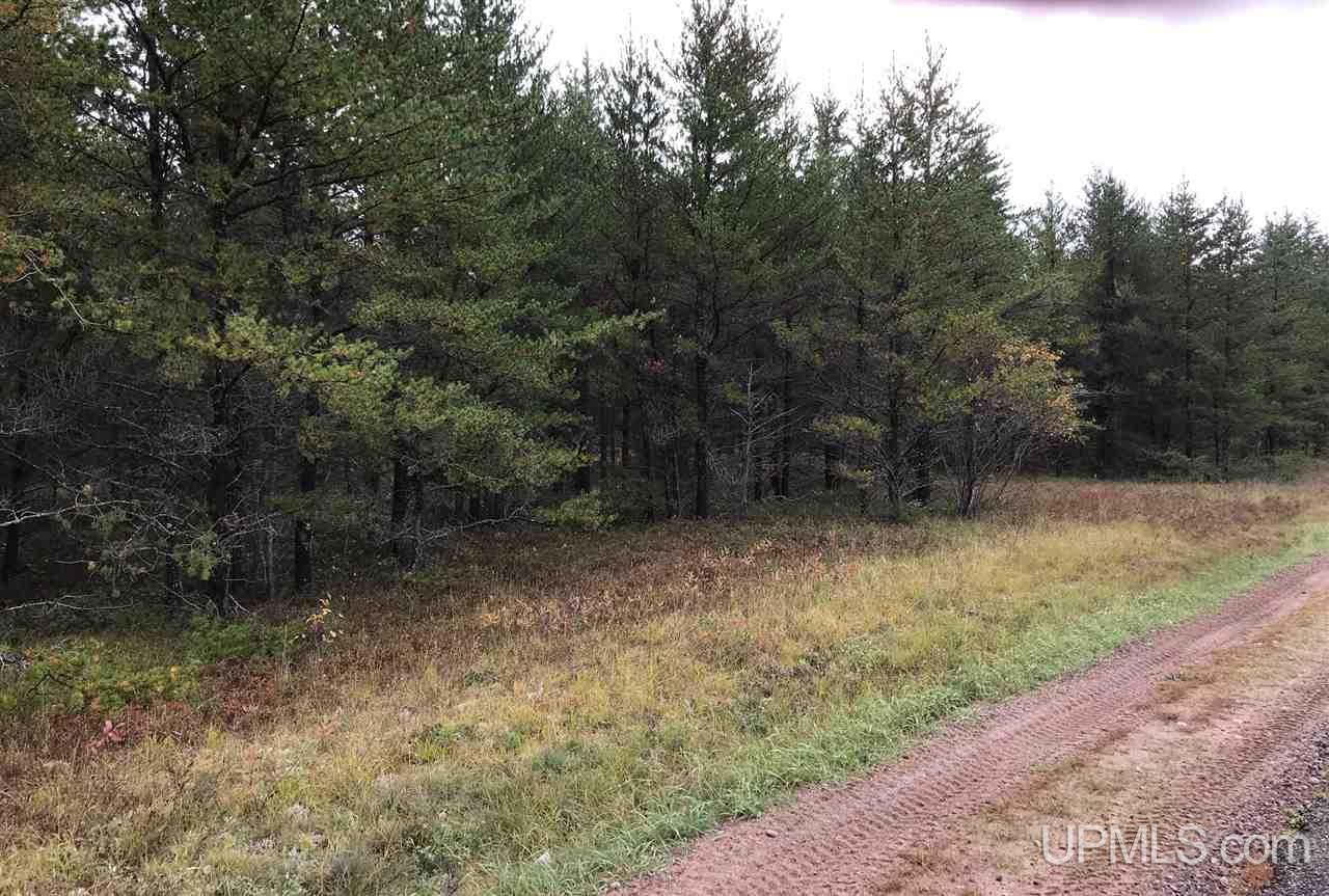 Tbd Tbd Rice Lake Road, Unit A Gwinn, MI 49841 - Photo 1 of 2