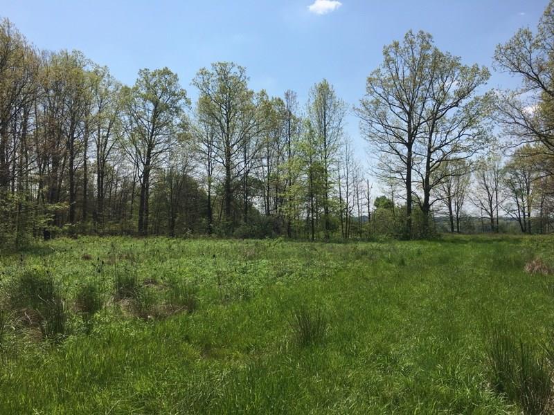 0 Riley Road Greenville, PA 16125 - Photo 3 of 10