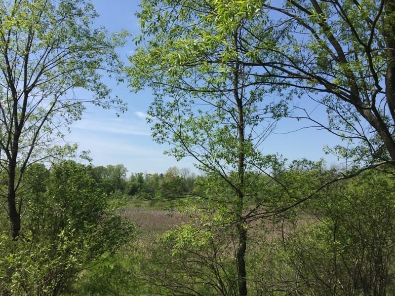 0 Riley Road Greenville, PA 16125 - Photo 8 of 10