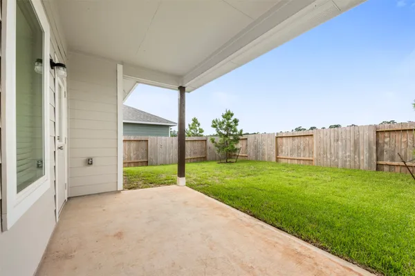a view of a backyard with plants and large tree