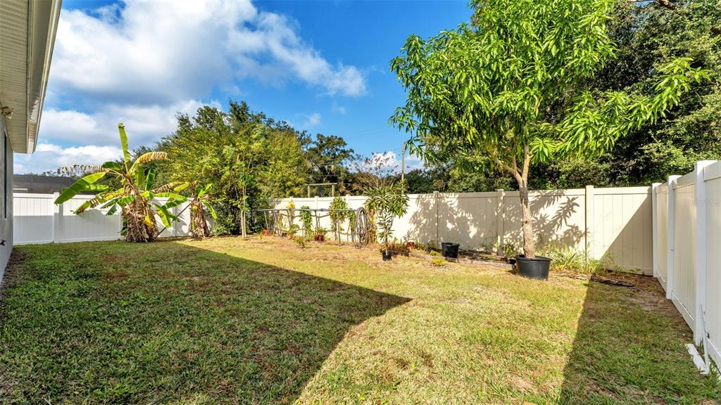 244 Pershing Street Bartow, FL 33830 - Photo 31 of 32 a view of yard along with trees