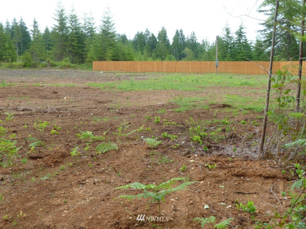313 Cloquallum Road Elma, WA 98541 - Photo 12 of 15 Gallery Image 12