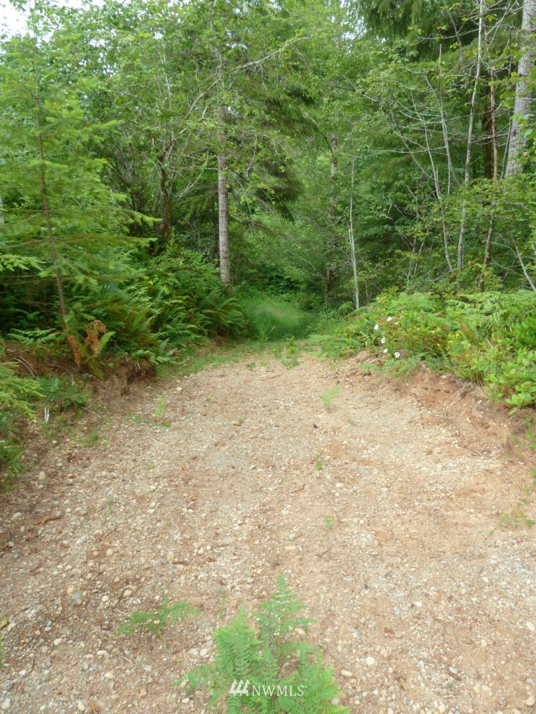 313 Cloquallum Road Elma, WA 98541 - Photo 13 of 15 Gallery Image 13