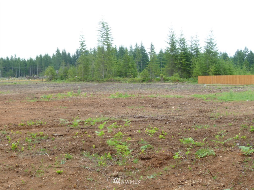 313 Cloquallum Road Elma, WA 98541 - Photo 10 of 15 Gallery Image 10