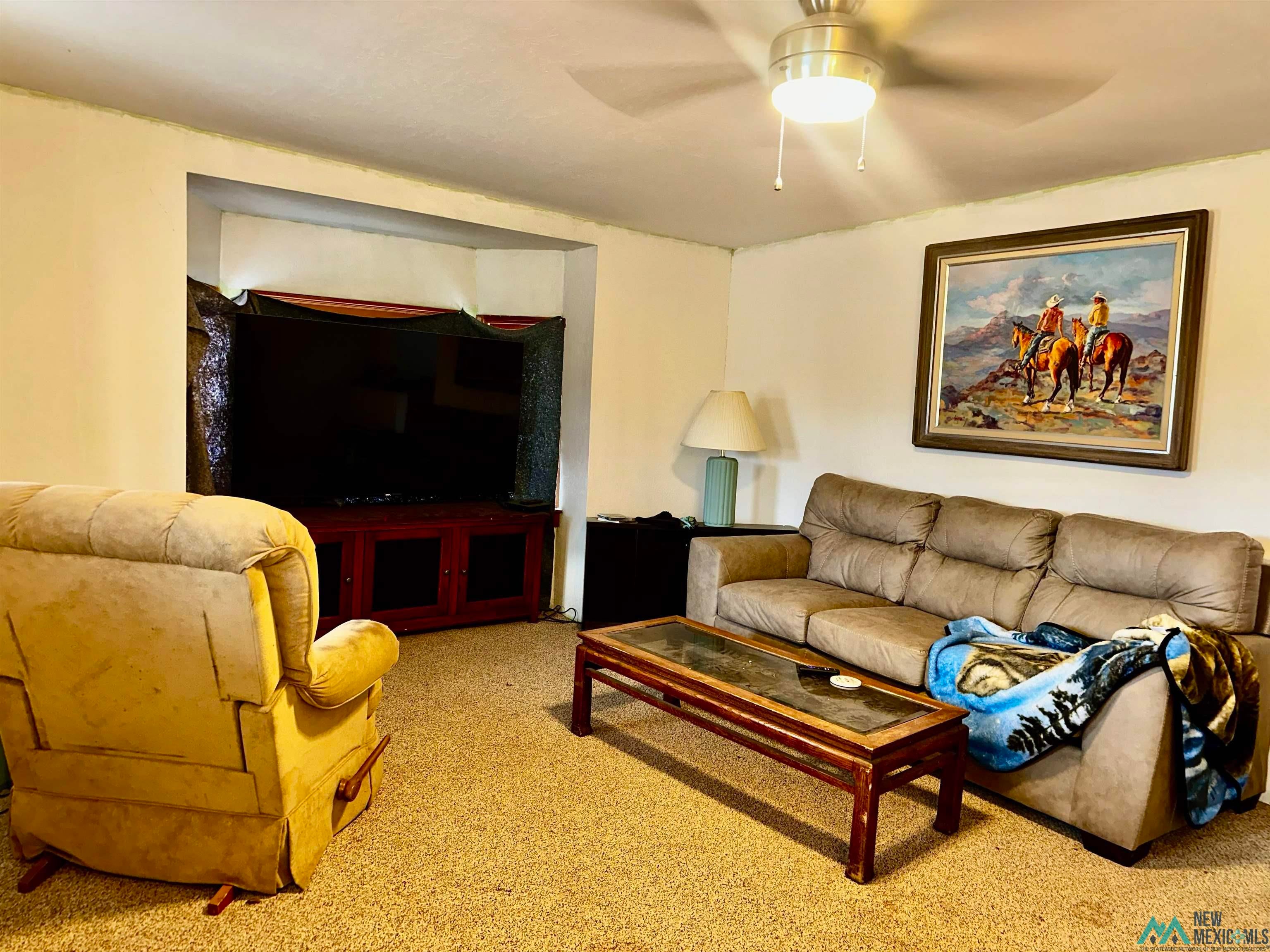 31 Bill Knight Gap Road Luna, NM 87824 - Photo 5 of 41 Carpeted living room with a ceiling fan