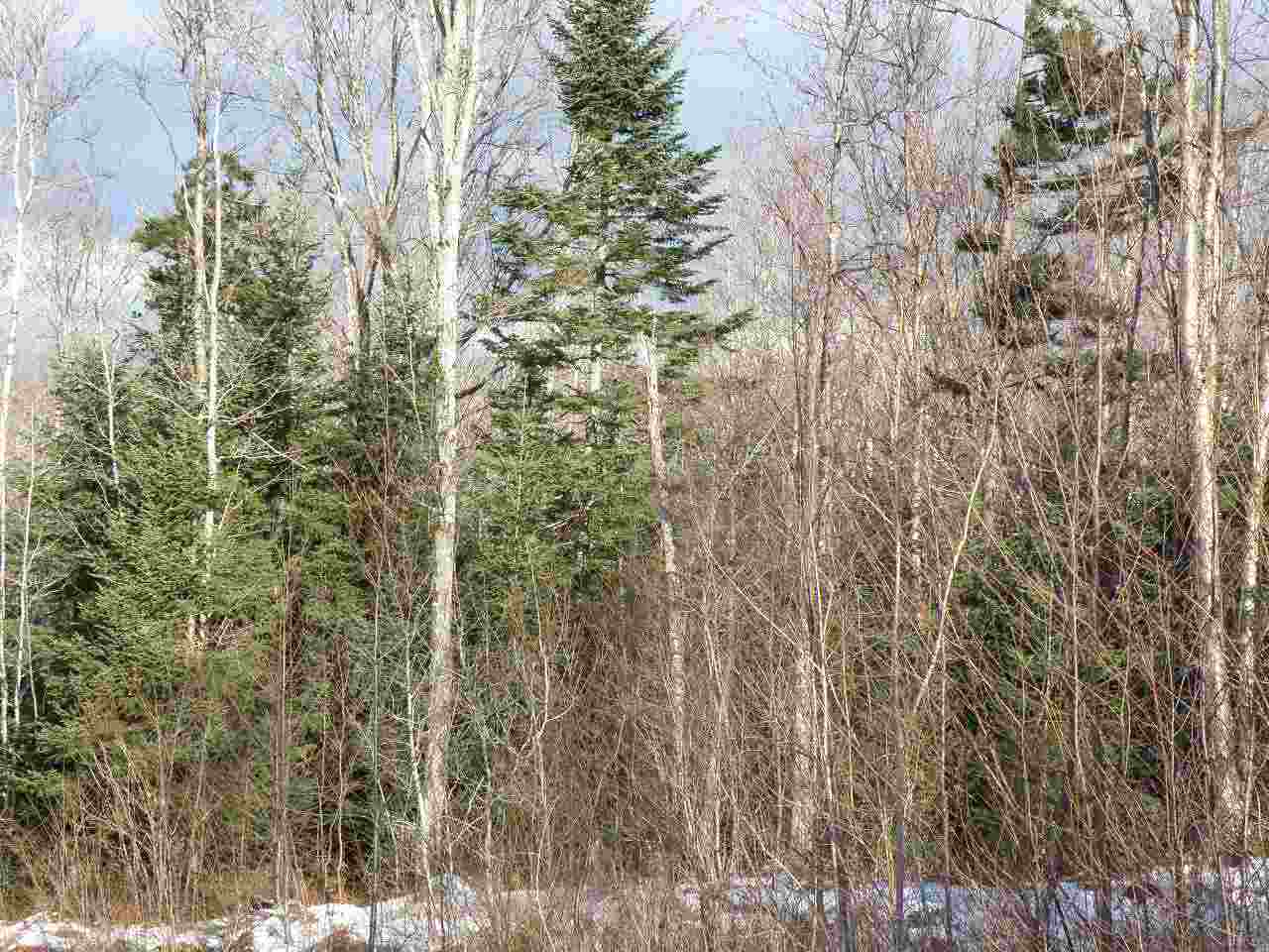 0 Silver Road East Hardwick, VT 05836 - Photo 8 of 10