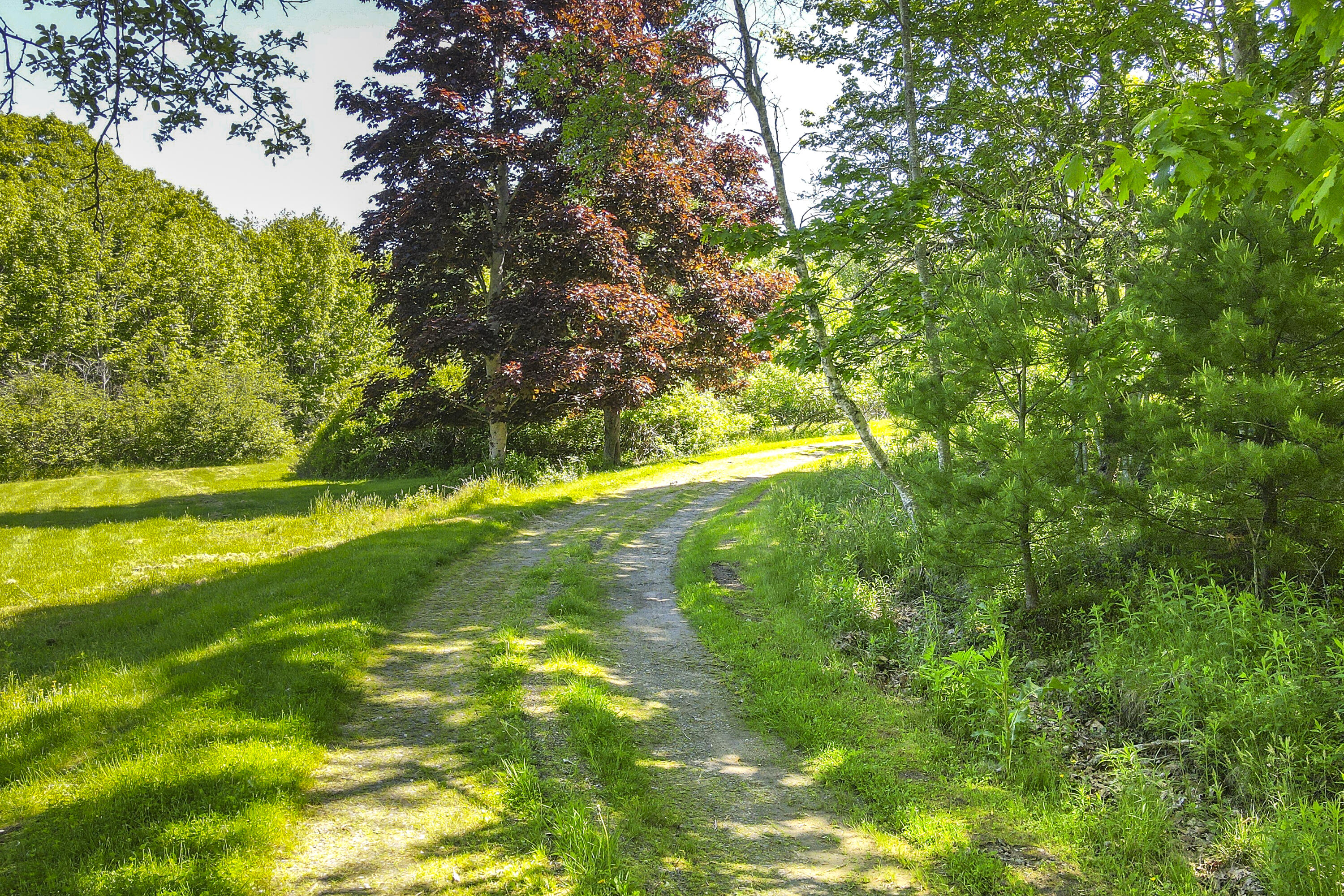 69 Hamalainen Road Spruce Head, ME 04859 - Photo 18 of 20 20-69HamalainenRd-SpruceHead-KS