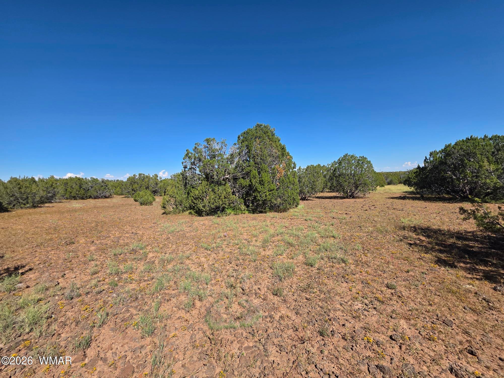 1 8063rd Road Concho, AZ 85924 - Photo 14 of 22 Gallery Image 14
