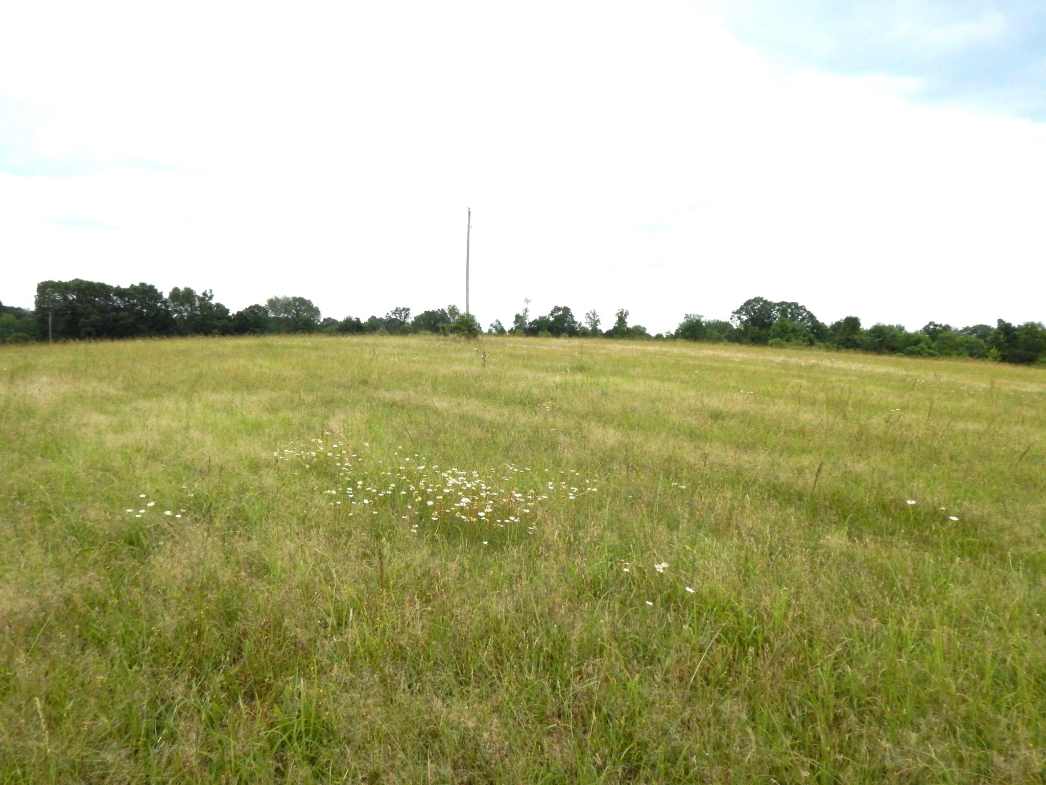 6406 Pumping Station Road Cypress Inn, TN 38452 - Photo 23 of 42 Gallery Image 23