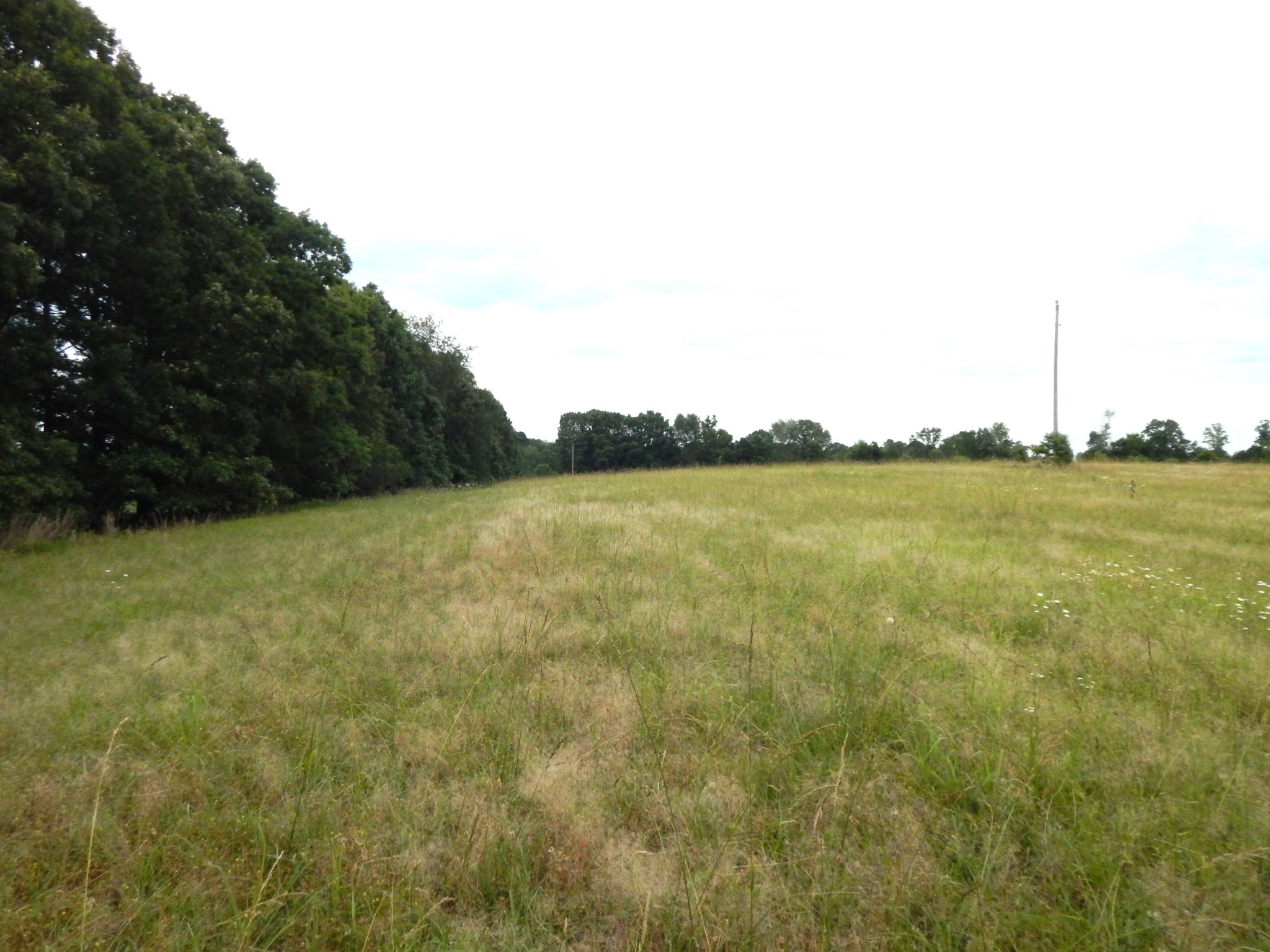 6406 Pumping Station Road Cypress Inn, TN 38452 - Photo 24 of 42 Gallery Image 24