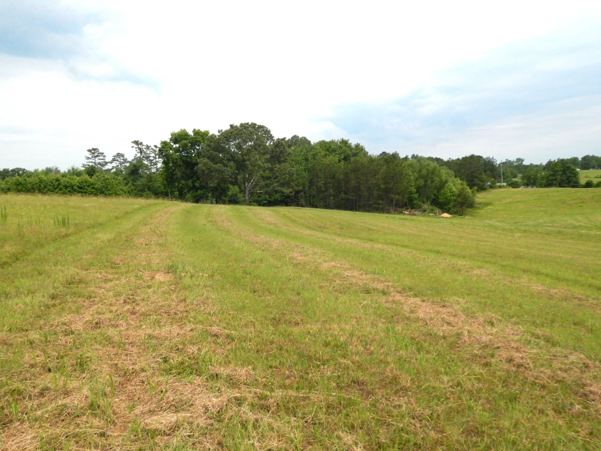 6406 Pumping Station Road Cypress Inn, TN 38452 - Photo 36 of 42 Gallery Image 36