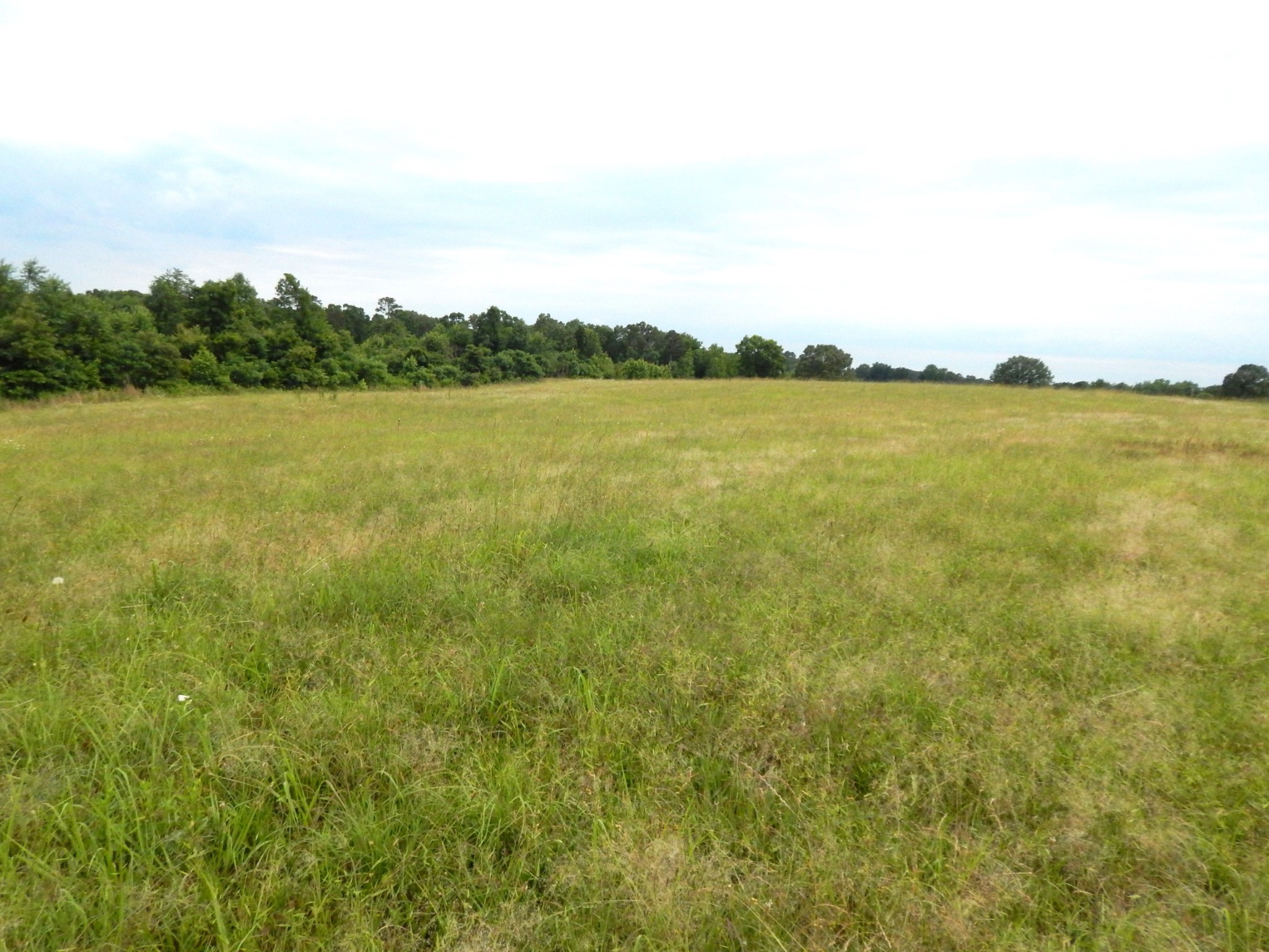 6406 Pumping Station Road Cypress Inn, TN 38452 - Photo 39 of 42 Gallery Image 39