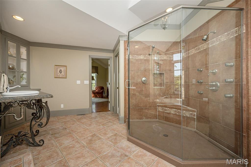 16925 Lewis Spring Drive Chesterfield, MO 63005 - Photo 34 of 74