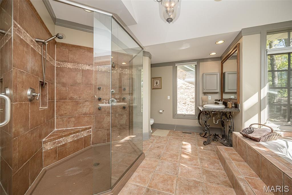 16925 Lewis Spring Drive Chesterfield, MO 63005 - Photo 35 of 74