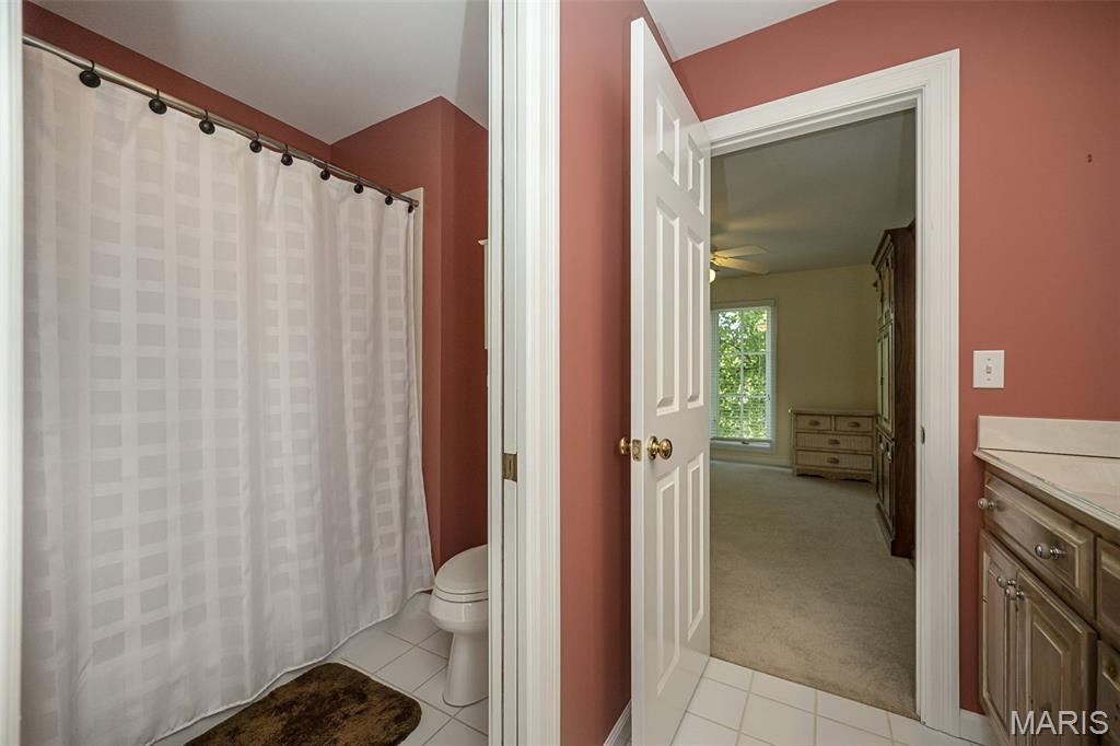 16925 Lewis Spring Drive Chesterfield, MO 63005 - Photo 38 of 74