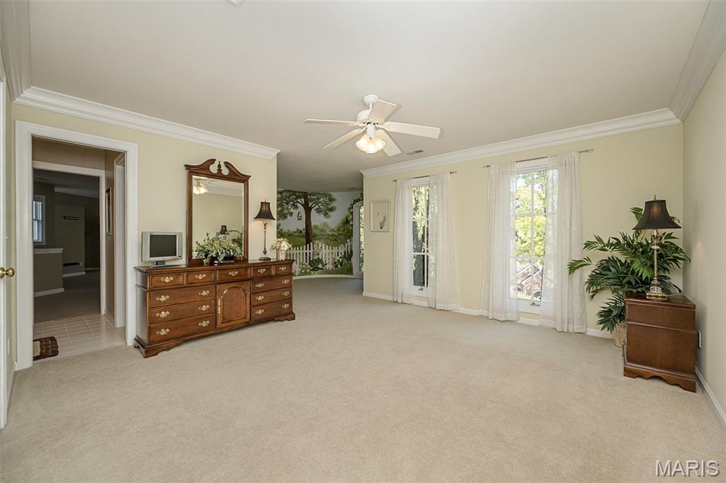 16925 Lewis Spring Drive Chesterfield, MO 63005 - Photo 42 of 74