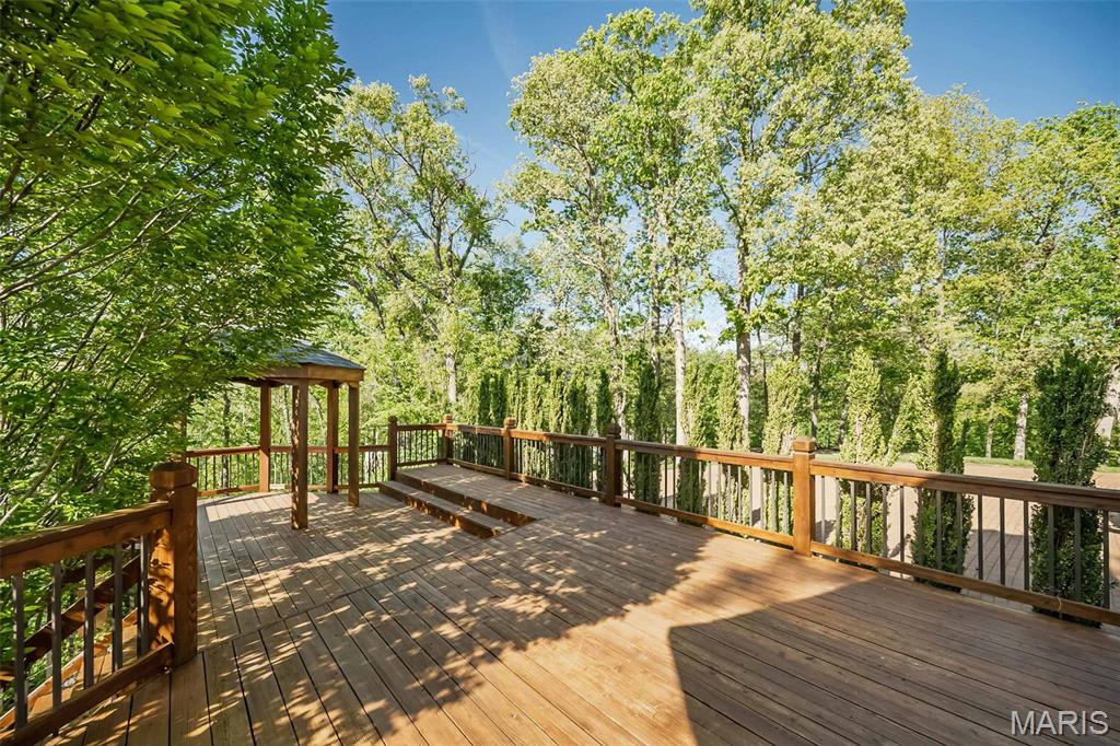 16925 Lewis Spring Drive Chesterfield, MO 63005 - Photo 5 of 74