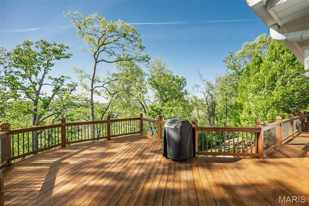 16925 Lewis Spring Drive Chesterfield, MO 63005 - Photo 58 of 74