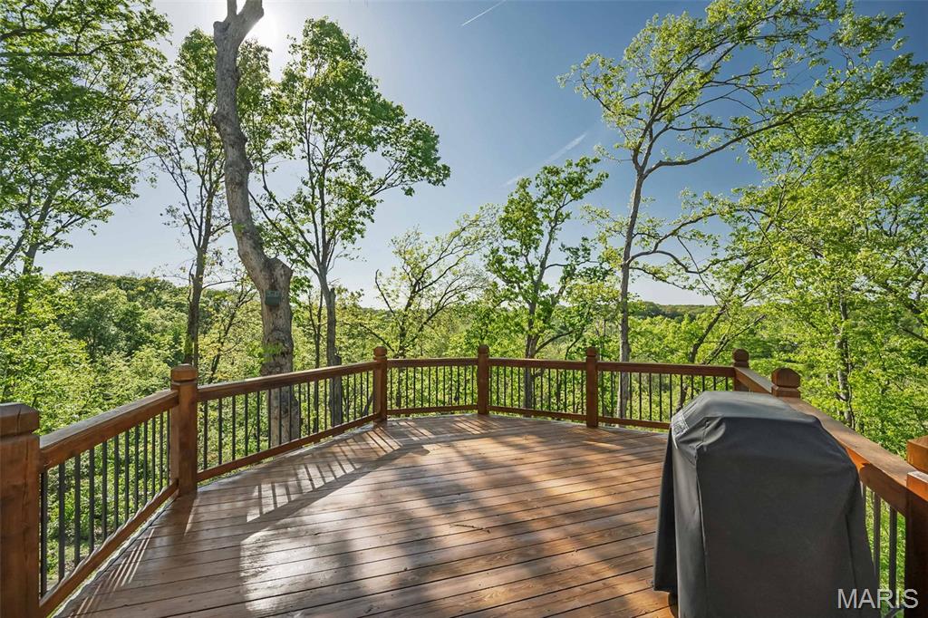 16925 Lewis Spring Drive Chesterfield, MO 63005 - Photo 59 of 74