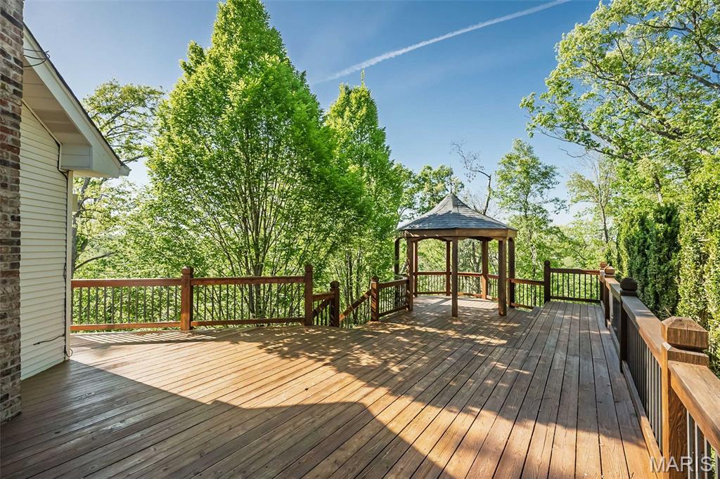 16925 Lewis Spring Drive Chesterfield, MO 63005 - Photo 60 of 74