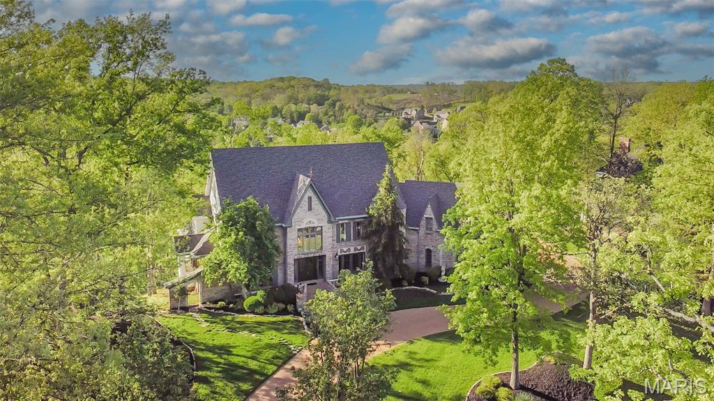 16925 Lewis Spring Drive Chesterfield, MO 63005 - Photo 65 of 74