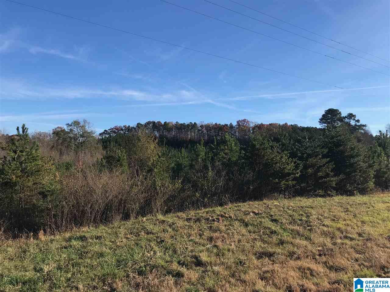 46 Highway 46 Ranburne, AL 36273 - Photo 4 of 5