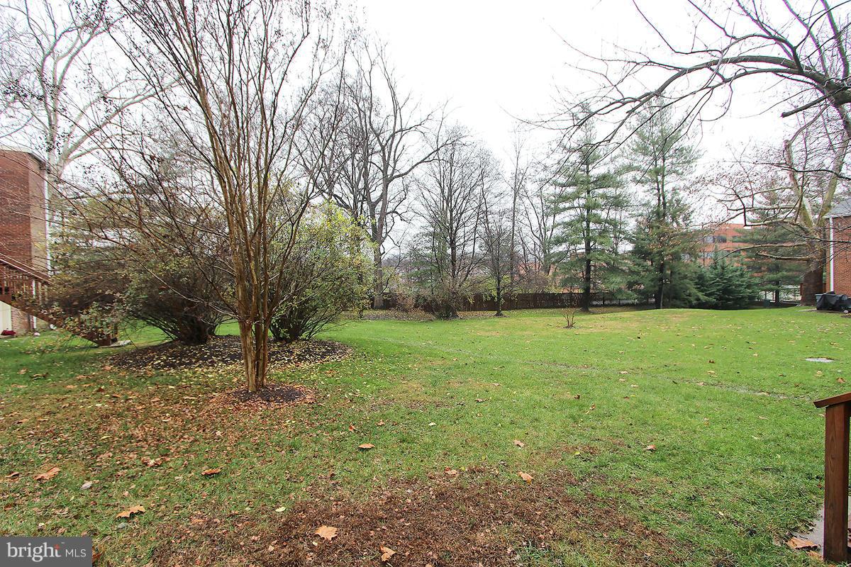 6720 Hillandale Road, Unit 15 Chevy Chase, MD 20815 - Photo 25 of 26 Grassy Common Area