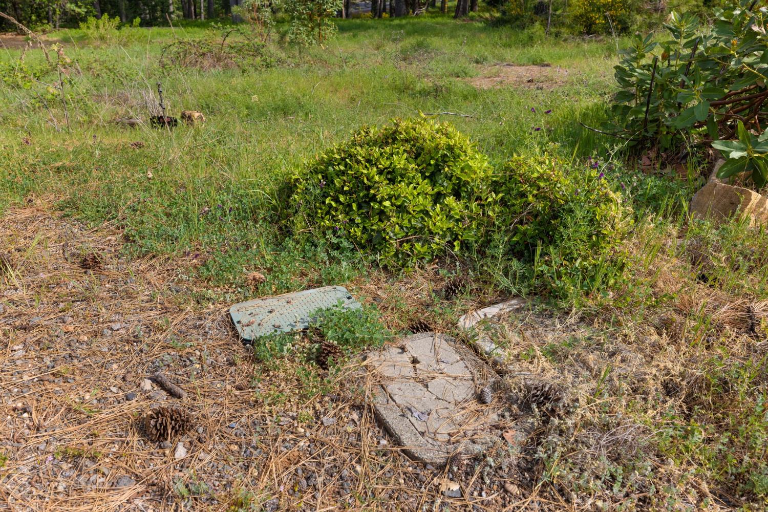 0 Carson Road Camino, CA 95709 - Photo 26 of 34