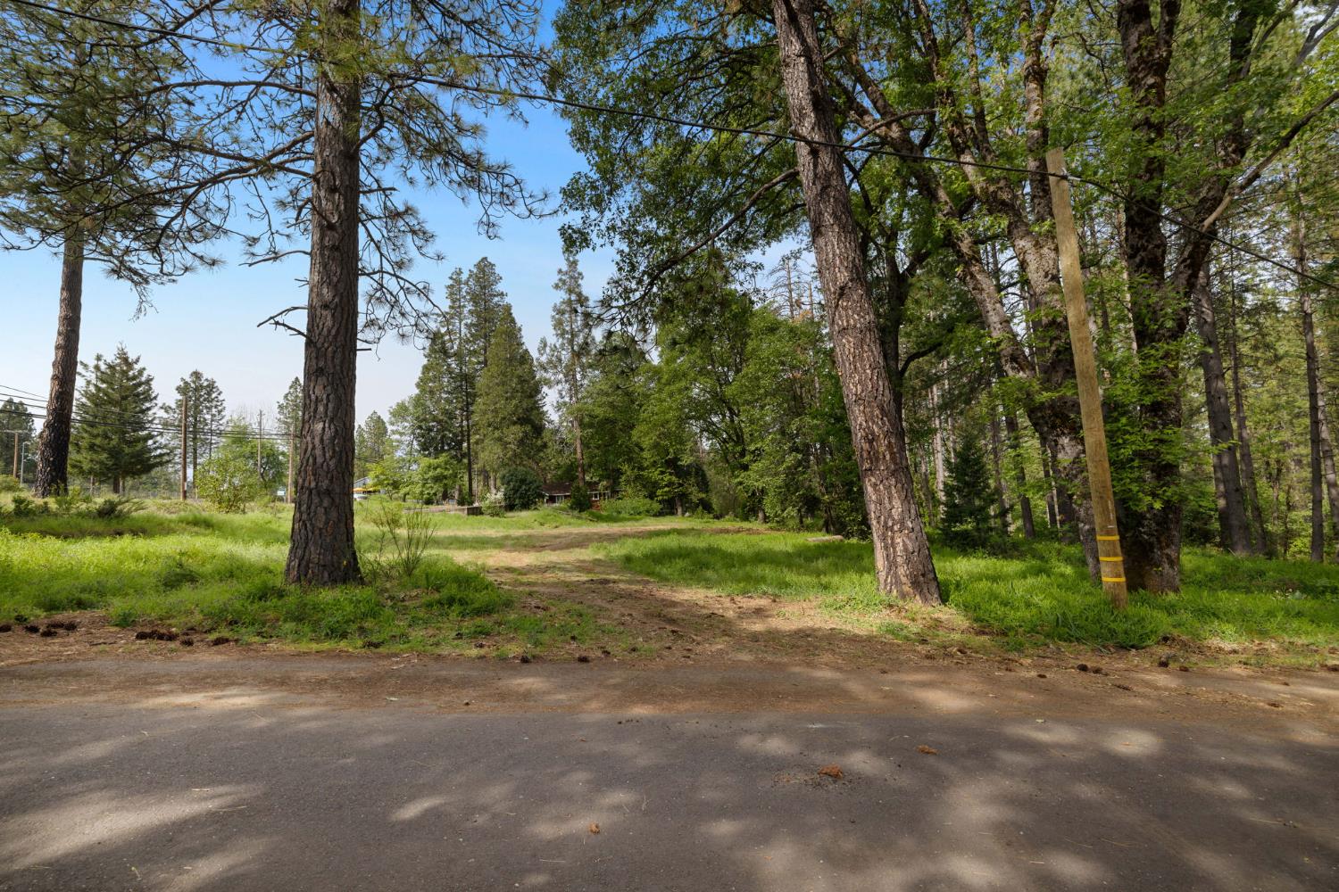 0 Carson Road Camino, CA 95709 - Photo 29 of 34