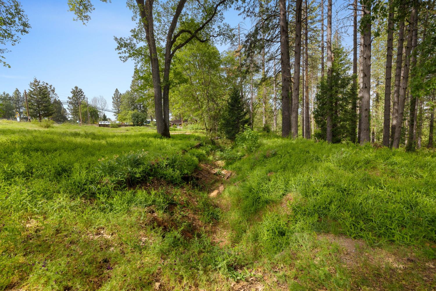 0 Carson Road Camino, CA 95709 - Photo 30 of 34