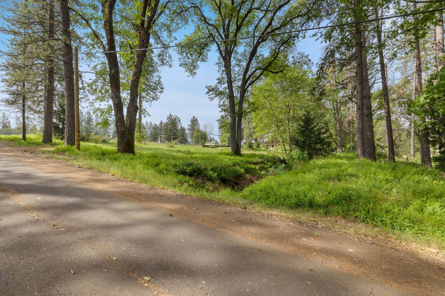 0 Carson Road Camino, CA 95709 - Photo 31 of 34