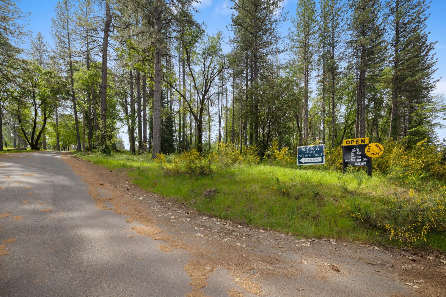 0 Carson Road Camino, CA 95709 - Photo 32 of 34