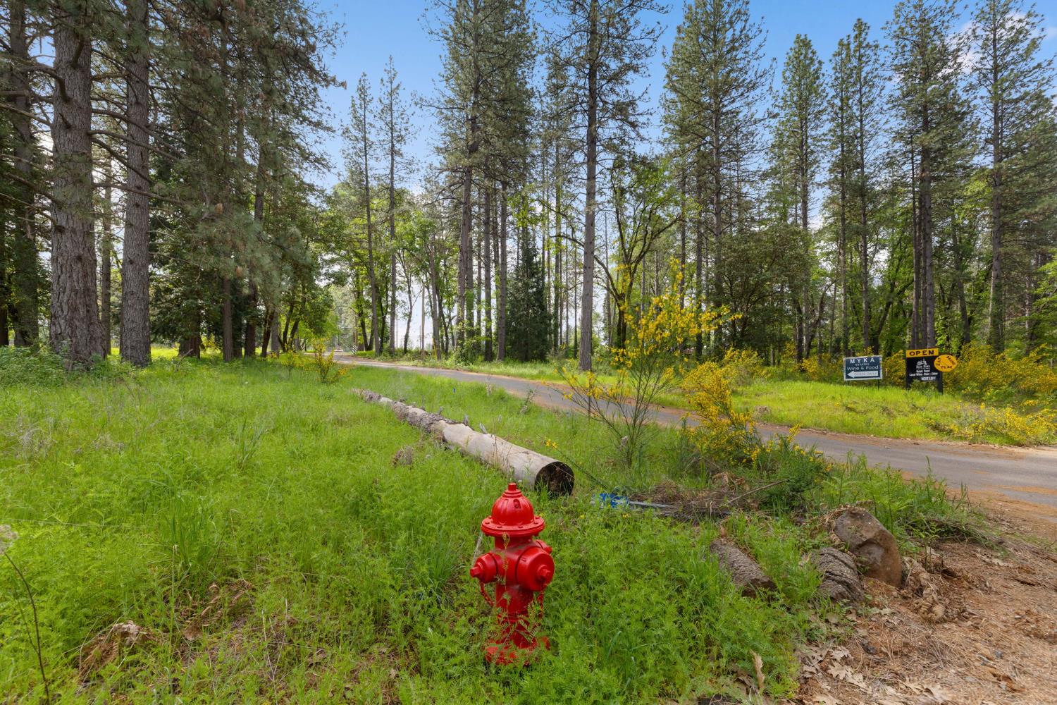 0 Carson Road Camino, CA 95709 - Photo 33 of 34