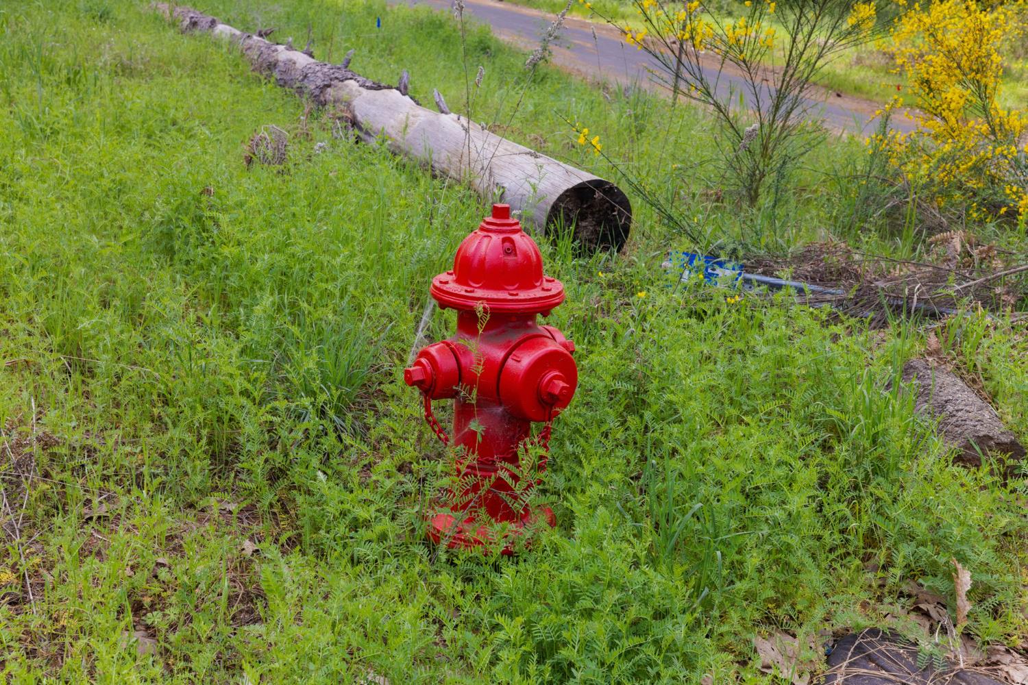 0 Carson Road Camino, CA 95709 - Photo 34 of 34