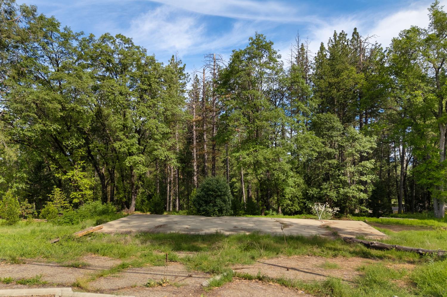 0 Carson Road Camino, CA 95709 - Photo 5 of 34