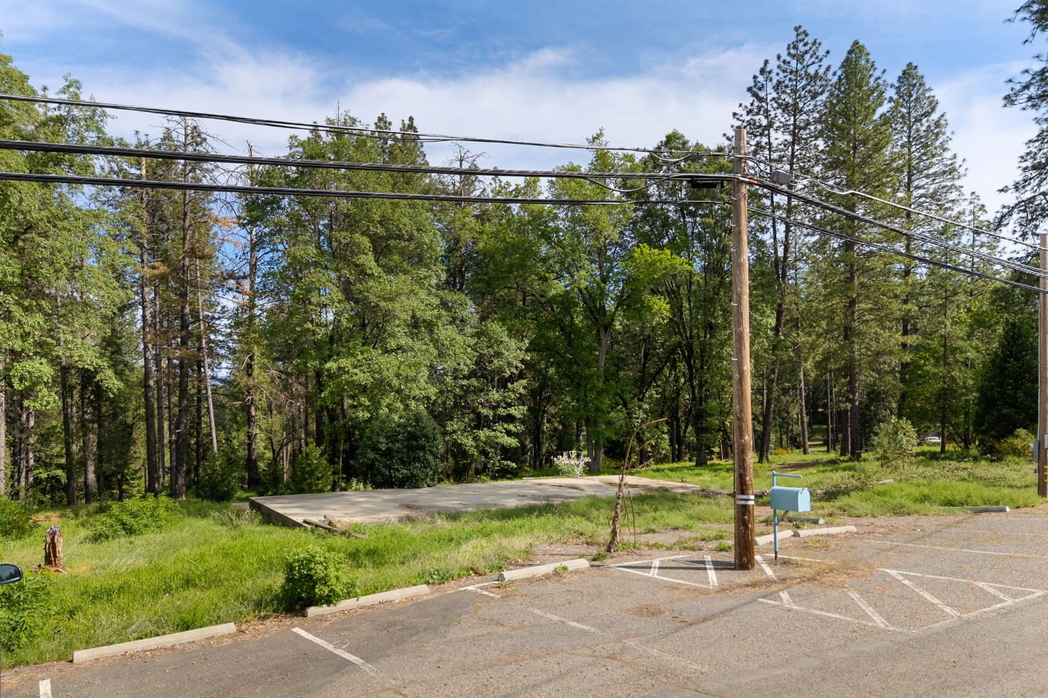 0 Carson Road Camino, CA 95709 - Photo 6 of 34